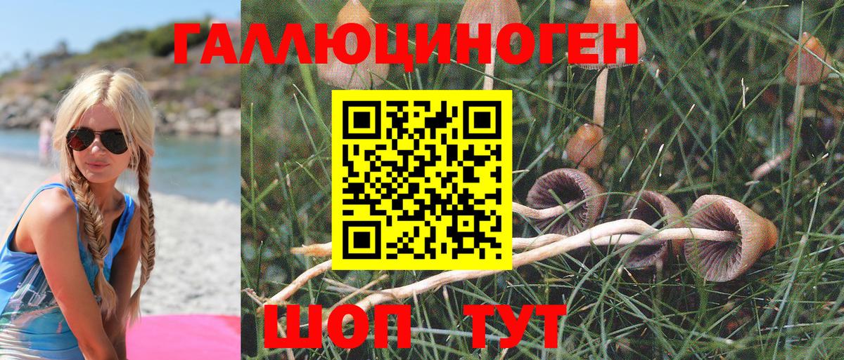 Псилоцибиновые грибы мицелий Кириши
