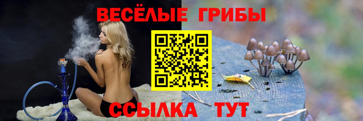 Кириши  Галлюциногенные грибы прущие грибы  Псилоцибиновые грибы мицелий  Вход с VPN 